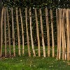 Kastanje schapenhek 90, 105 en 120 cm hoog/Lengte 4,60 meter!!